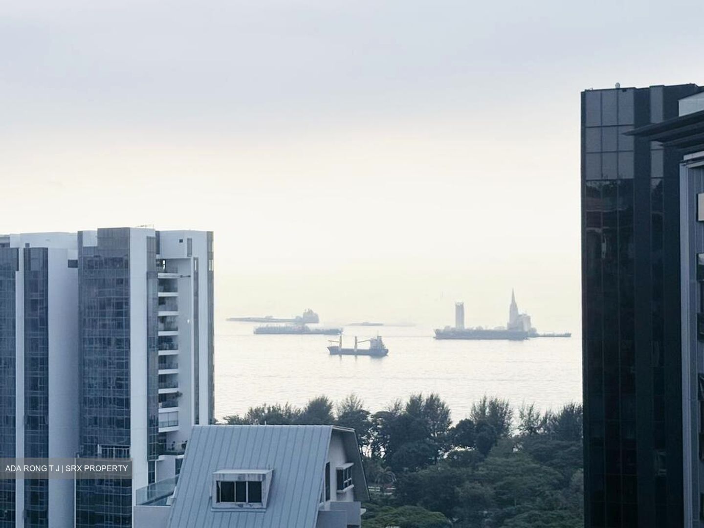 Amber Park (D15), Condominium #500818711